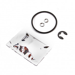 BMW M54 DISA Valve Repair Kit 11617502275 - Aftermarket