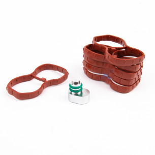 Swirl Flaps Seals N57 BMW - Aftermarket